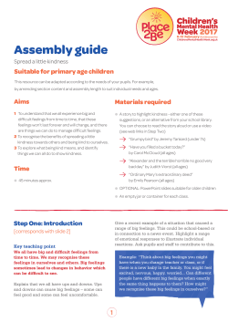 Assembly guide