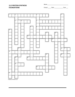 Crossword 13.2 Ribosomes and Protein Synthesis