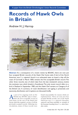 Records of Hawk Owls in Britain
