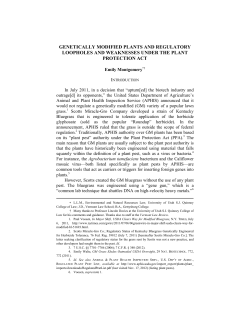 genetically modified plants and regulatory loopholes and