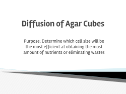 Diffusion of Agar Cubes