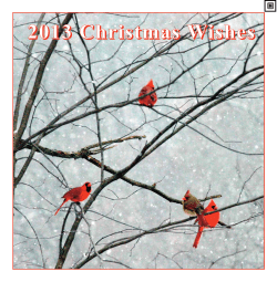 2013 Christmas Wishes - Pinnacle Sports View