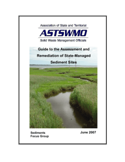 Guide to the Assessment and Remediation of State