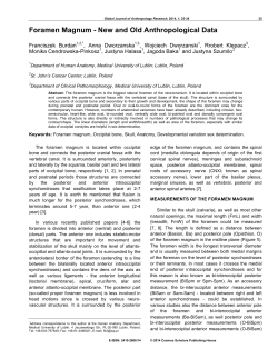 Foramen Magnum - New and Old Anthropological Data