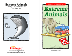 Extreme Animals Extreme Animals