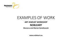 EXAMPLES OF WORK