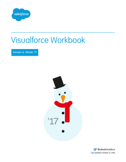 Visualforce Workbook