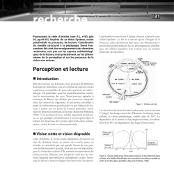 Perception et lecture - Association Fran&ccedil;aise pour la Lecture