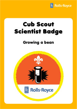 Cub Scout Scientist Badge - Rolls