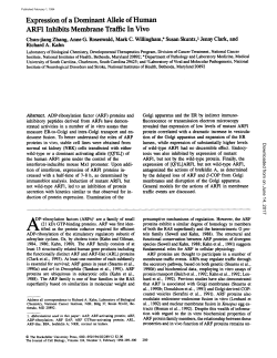 Expression of a Dominant Allele of Human ARF1 Inhibits Membrane