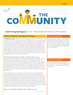 David`s Kingship Begins