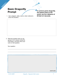 pdf file of Dragonfly Problem Handouts