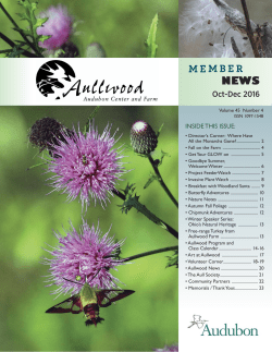 Aullwood Member News Oct-Dec 2016