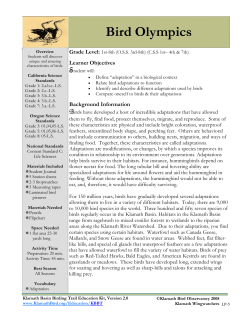 Bird Olympics - Klamath Basin Birding Trails
