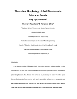 Theoretical Morphology of Quilt Structures in Ediacaran Fossils