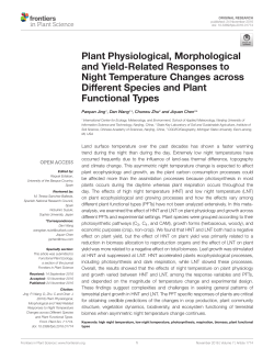 Plant Physiological, Morphological and Yield