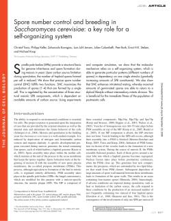 Spore number control and breeding in Saccharomyces cerevisiae: a