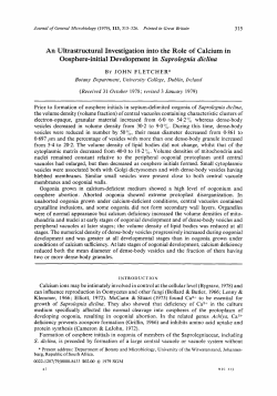 An Ultrastructural Investigation into the Role of