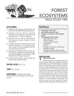 forest ecosystems - Mountains to Sound Greenway