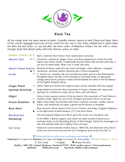 medley tea menu v 2.0.19