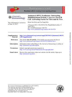 Activating Factor In Vitro and In Vivo &minus; Cell Multifunctional Protein 1
