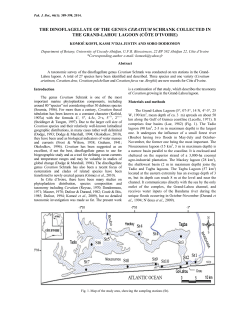 the dinoflagellate of the genus ceratium schrank collected in the