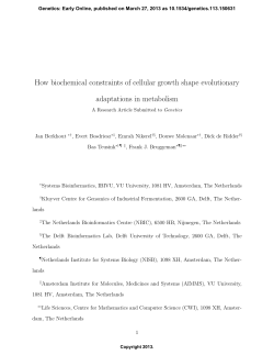 How biochemical constraints of cellular growth shape