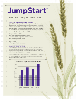 PHOSPHATE FERTILIZER USE EFFICIENCY Factors affecting