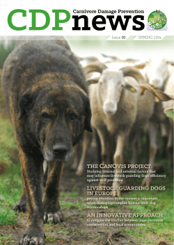 THE CANOVIS PROJECT: LIVESTOCK GUARDING