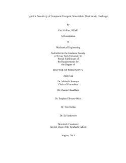 COLLINS-DISSERTATION