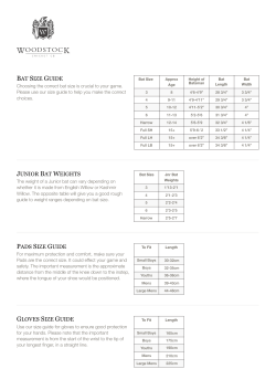 BAT SIZE GUIDE JUNIOR BAT WEIGHTS PADS SIZE GUIDE