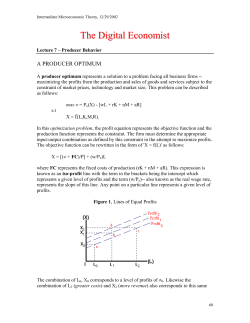Producer Behavior - The Digital Economist