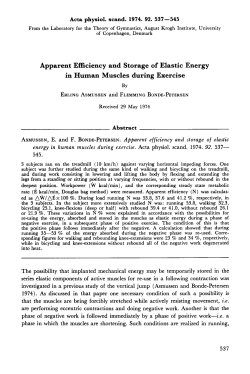 Apparent Efficiency and Storage of Elastic Energy in Human