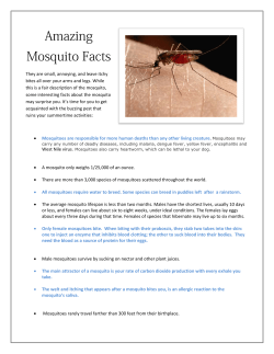 Amazing Mosquito Facts