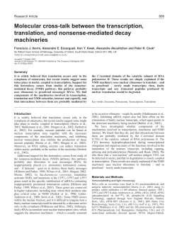 Molecular cross-talk between the transcription, translation, and
