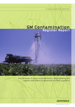 GM Contamination
