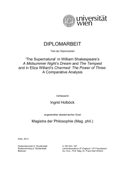 diplomarbeit - E