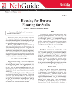 Housing for Horses: Flooring for Stalls