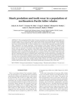 Shark predation and tooth wear in a population of