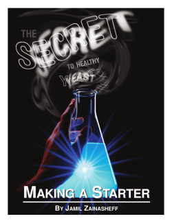 Making a Starter - American Homebrewers Association