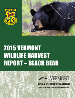 2015 vermont wildlife harvest report &ndash; black bear