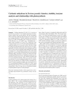 Carbonic anhydrase in Tectona grandis: kinetics, stability, isozyme