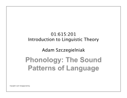 Phonology: The Sound Patterns of Language