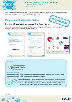 Magnets and magnetic fields &ndash; Checkpoint instructions