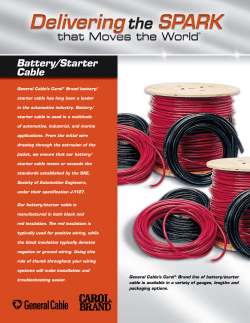 Battery/Starter Cable
