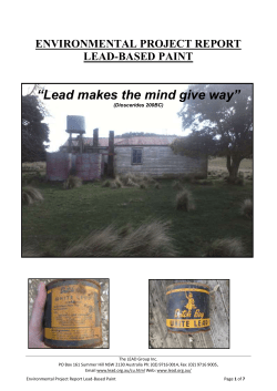 Environmental Project Report, Lead-Based Paint
