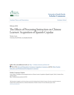 The Effects of Processing Instruction on Chinese Learners