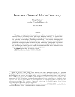 Investment Choice and Inflation Uncertainty