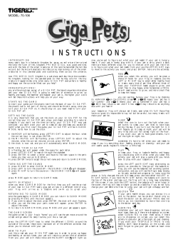 instructions