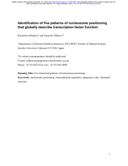 Identification of five patterns of nucleosome positioning that